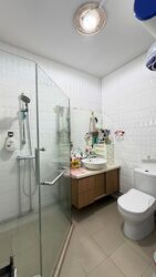 Blk 239 Bukit Panjang Ring Road (Bukit Panjang), HDB Executive #558575761